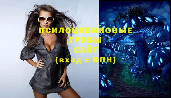 индика Алексеевка