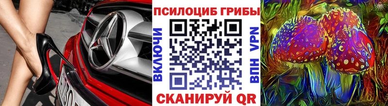 Галлюциногенные грибы Psilocybine cubensis  Щигры 