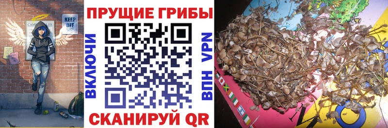 Псилоцибиновые грибы мухоморы Щигры