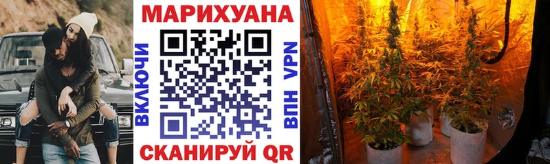 МАРИХУАНА сатива  блэк спрут ССЫЛКА  Щигры 